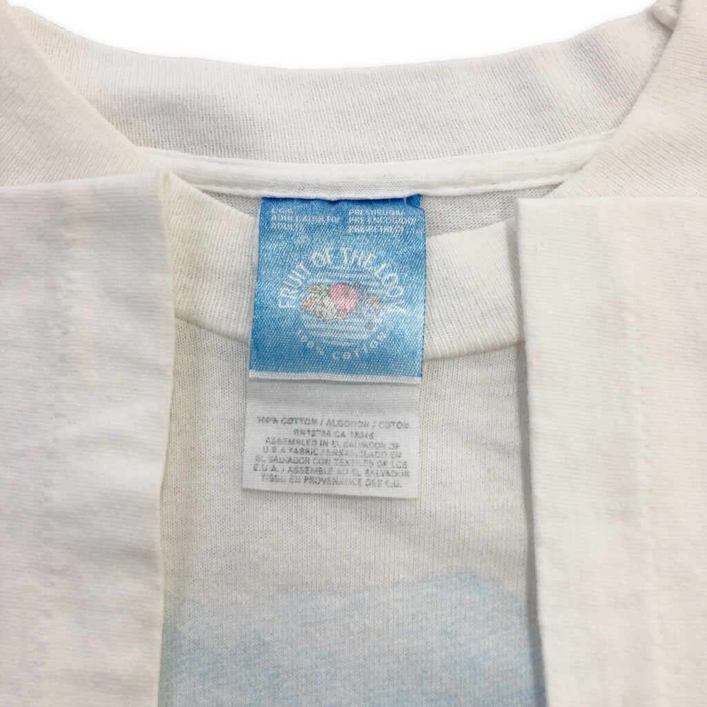 90s FRUIT OF THE LOOM Art T-Shirt L [ 10817 ]